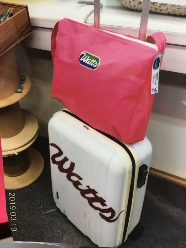 画像: Square handy bag  マイラー